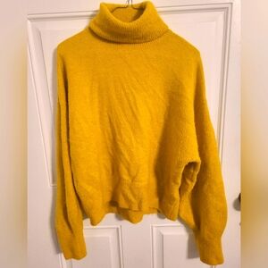 Turtleneck Sweater